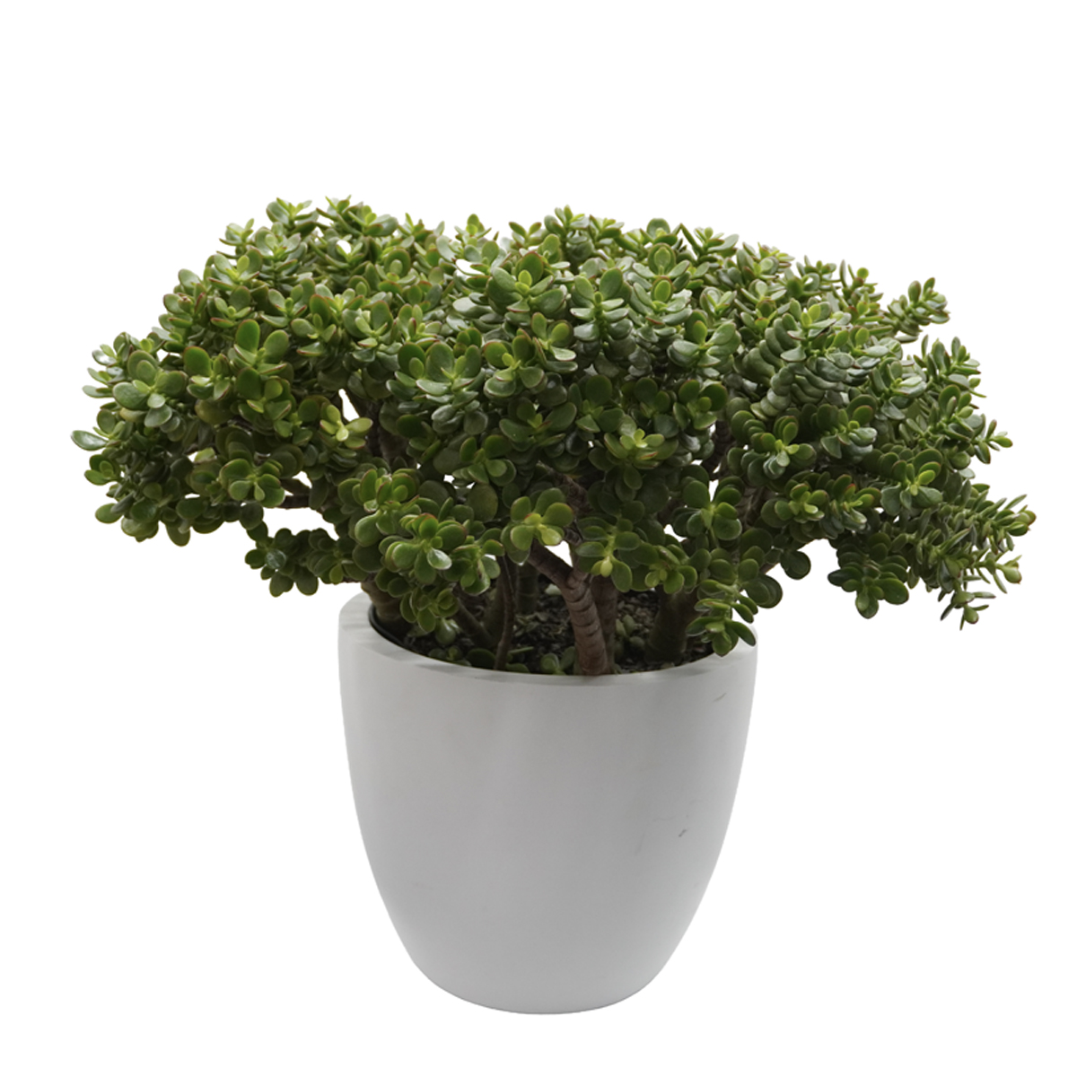 auto draft auto draft